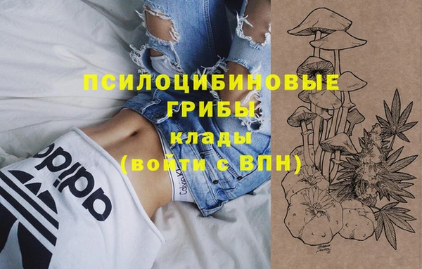 СК Володарск