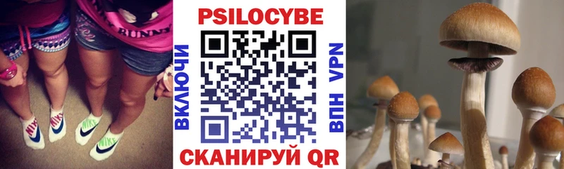 Галлюциногенные грибы прущие грибы  Орехово-Зуево 